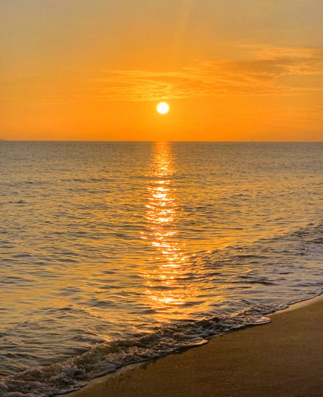 A162010C4B9846B3DFE0B1D1136FB2D1.png